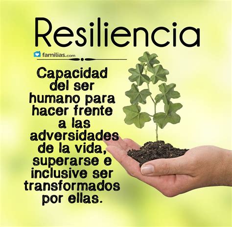 resiliencia que es y para que sirve